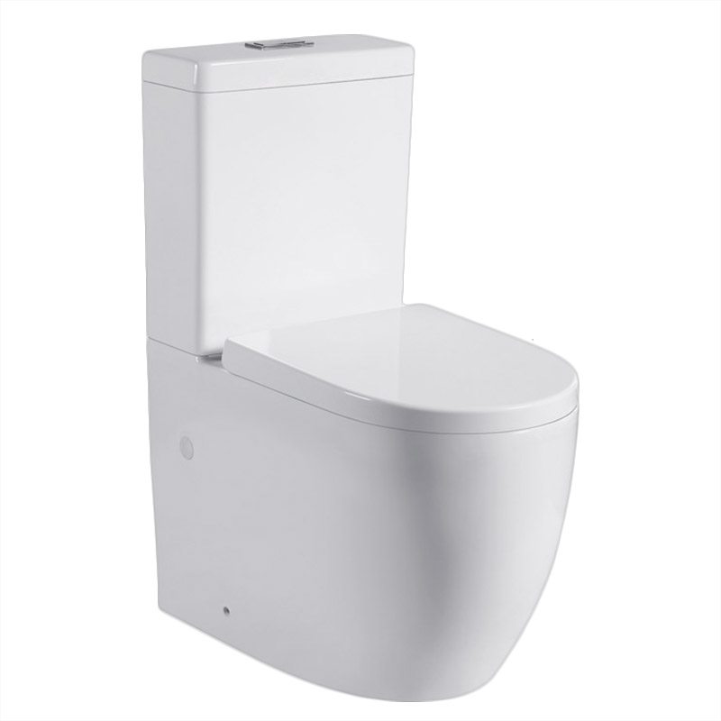 WHIRLPOOL Flush Wall faced Toilet Suite KDK025